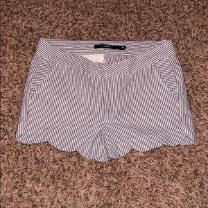 Seersucker Boutique Shorts